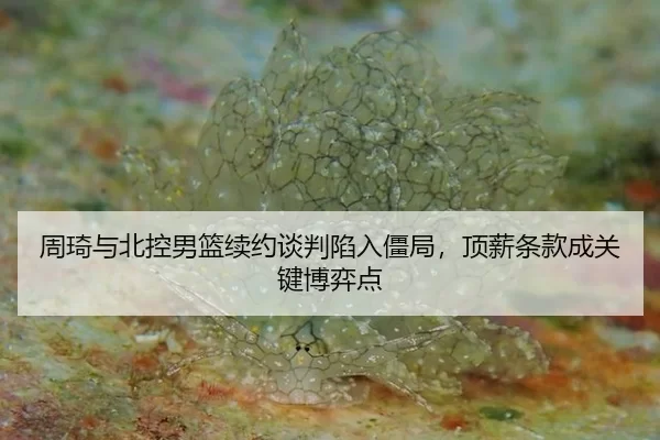 zhou-qi-yu-bei-kong-nan-lan-xu-yue-tan-pan-xian-ru-jiang-ju-ding-xin-tiao-kuan-cheng-guan-jian-bo-yi-dian-2-709.jpg