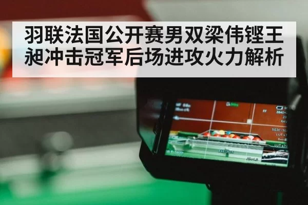羽联法国公开赛男双梁伟铿王昶冲击冠军后场进攻火力解析